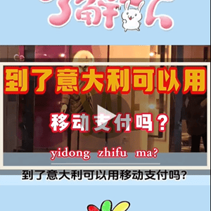 意大利移动支付